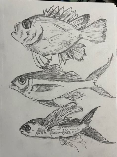 Fish In Water Drawing, Sketchbook Ideas Fish, Ocean Sketchbook, Fish Pen Drawing, Pen Fish Drawing, Fish Drawing From Above, School Of Fish Drawing, Fish Sketches, Sketch Book Koi Fish