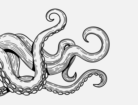 Tentacle Sketch, Octopus Sketch, Octopus Legs, Octopus Drawing, Art Notes, Octopus Tattoo Design, Octopus Tattoos, Bottle Drawing, Sea Life Art