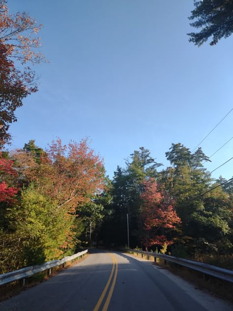 Maine Aesthetic Fall, Fall In Maine, I Was All Over Her, Maine Aesthetic, Salems Lot, Aesthetic Person, Maine Fall, Maine In The Fall, Paper Town