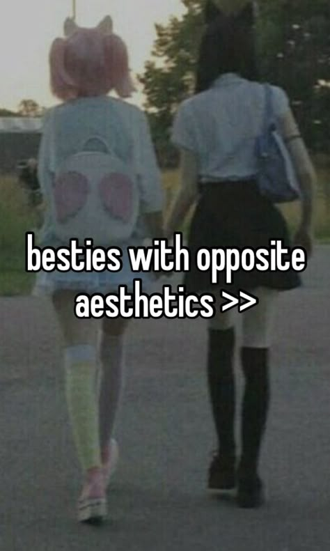 Opposite Astetics Friends, Best Friends With Opposite Aesthetics, Best Friend Opposites, Polar Opposites Friends, Opposite Best Friends Aesthetic, Opposite Friends Aesthetic, Opposite Aesthetic Friends, Opposites Aesthetic, Opposite Besties