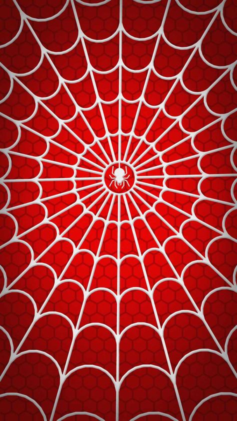 Spider Web Spiderman, Spider Man Web Wallpaper, Spiderman Web Background, Spiderman Web Wallpaper, Background Spiderman, Spiderman Webs, Spider Web Wallpaper, Spiderman Background, Spiderman Topper