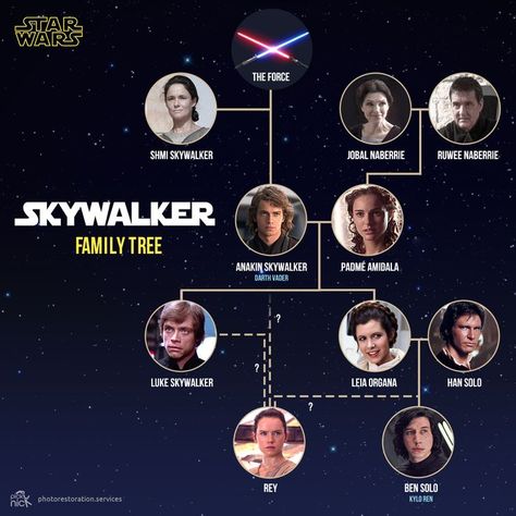 Skywalker family tree/bloodline Skywalker Family Tree, Star Wars Family Tree, Skywalker Family, Padme Amidala, Leia Organa, Star Wars Movie, Anakin Skywalker, Luke Skywalker, Visual Representation