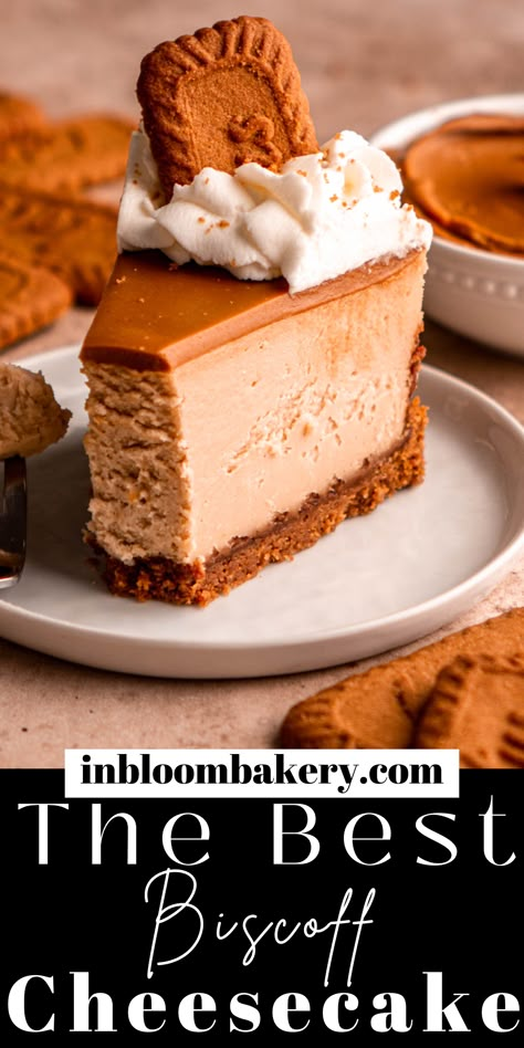 This is the best Biscoff cheesecake recipe! It's a simple recipe for creamy, cookie butter cheesecake with a Biscoff cookie crust, topped with cookie butter. This cheesecake is perfect dessert for all the Biscoff lovers in your life! Biscoff Cookie Dip, Biscoff Cheesecake Baked, Cookie Butter Tart, Biscoff Cookie Cheesecake, Biscoff Recipes Cheesecake, Cookie Butter Cheesecake Recipes, Butter Beer Cheesecake, Biscoff Pie Recipes, Biscoff Cookie Butter Cheesecake