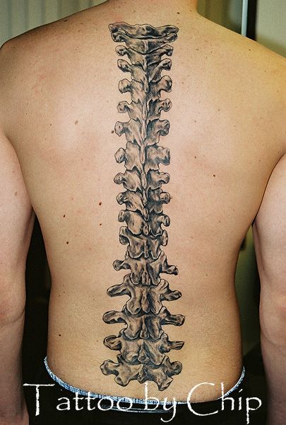 #spine #tattoo #tattoos #ideas #designs #men #formen #menstattooideas Spine Vertebrae Tattoo, Spine Outline Tattoo, Anatomical Spine Tattoos, Bone Spine Tattoo, Back Bone Tattoo, Bone Tattoo Anatomical, Spine Tattoo Of A Spine, Spine Bone Tattoo, Vertebrae Tattoo