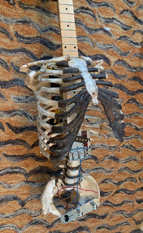 Human skeleton guitar Real Skeleton, Kawaii Bedroom, Instruments Art, Real Bones, Human Skeleton, Skeleton Art, A Skeleton, Photography Challenge, Art Diary