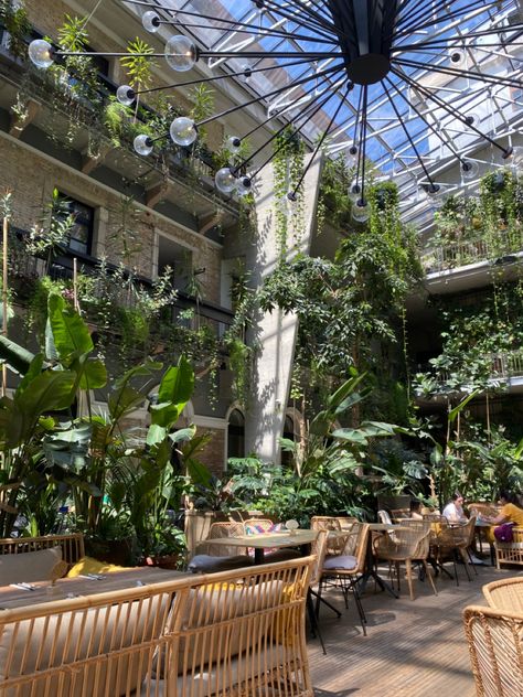 breakfast, cafe, coffee shop, coffee, plants, aesthetic Plant Cafe Aesthetic, Coffee Dates Aesthetic, Cafe Plants, Street Coffee, Bucharest Romania, Vegan Cafe, Coffee Shop Aesthetic, Cafe Shop Design, Coffee Plant