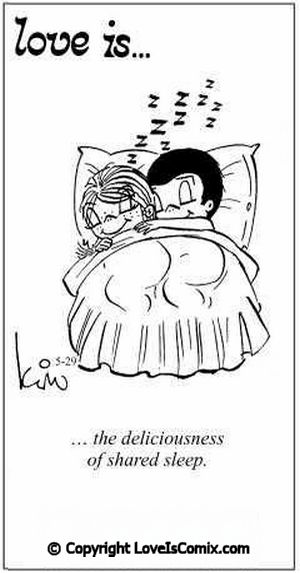 The deliciousness of shared sleep. Love Is Quotes, Love Is Cartoon, Love Is Comic, My Funny Valentine, Life Quotes Love, Love Is, Love My Husband, Sweet Words, Love Marriage