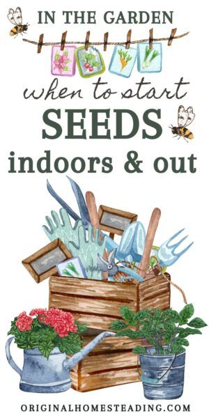 Starting Garden Seeds Indoors, Hardening Off Seedlings, How Plants Grow, Seed Starting Mix, When To Plant, Seed Germination, Garden Journal, Garden Yard Ideas, Plant Lighting