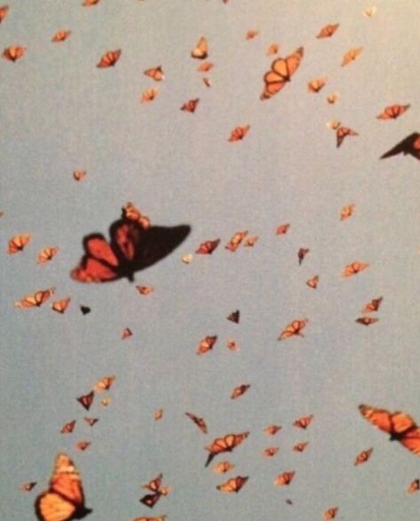 Projector, Butterflies, Orange