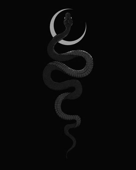 Snake Aesthetic Dark, Black Snake Wallpaper, Serpent Wallpaper, Dark Witchy Wallpaper, Black Serpent, Pretty Snakes, Own Tattoo, Snake Wallpaper, Create Your Own Tattoo