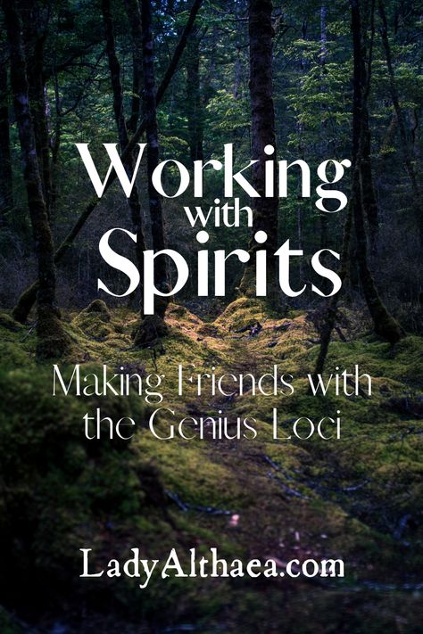 Working With Spirits, Witch Abilities, Norse Wicca, Land Spirits, Herb Room, Taurus Witch, Celtic Wicca, Bone Reading, Channeling Spirits