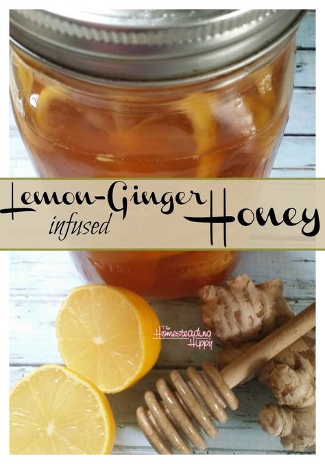 Honey Infused Recipes, Honey And Tea Gift Ideas, Lemon Ginger Honey, Infused Honey, Ginger Honey, Orange Honey, Lemon Ginger, Ginger And Honey, Honey Recipes