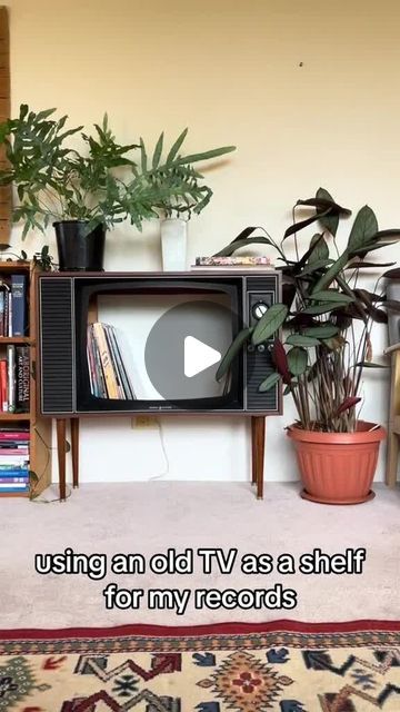 VINYLRECORDS | SOLER on Instagram: "Repurposing an old TV to store vinyl records? Yes, please! 📺💿 Would you try this at home? Let me know in the comments! 👇 

#VinylStorage #UpcyclingIdeas #VinylCommunity #VintageDecor #RecordCollectors #CreativeDIY #RetroVibes 
(Credits to prehistorytv on TikTok)" Record Area, Store Vinyl Records, Dream Flat, Vinyl Storage, Old Tv, A Shelf, Yes Please, Vintage Decor, Vinyl Records