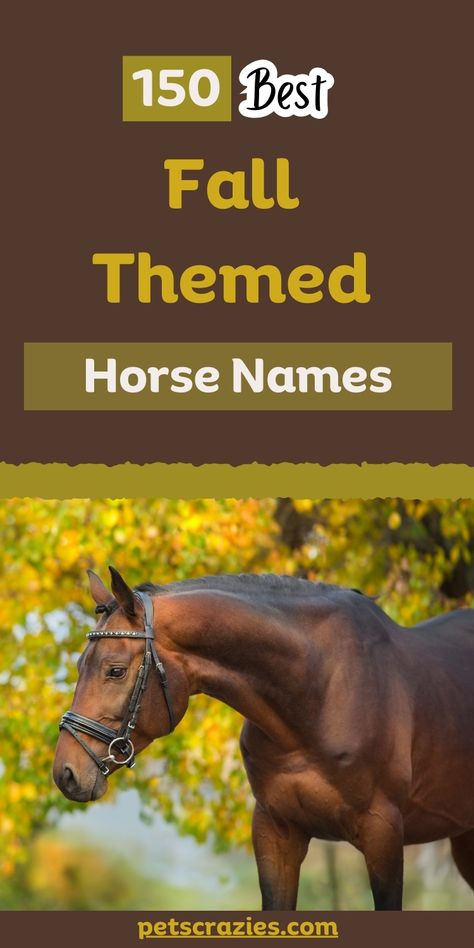 Image showcases 150 best fall-themed horse names with a warm autumnal vibe. The text "150 Best Fall Themed Horse Names" is prominently displayed in earthy, golden hues. Below, a photo of a brown horse is set against a backdrop of vibrant autumn leaves. The design emphasizes the rich colors and coziness of the fall season, making it ideal for horse owners looking for the perfect seasonal name for their horse. Horse Names And Show Names, Horse Names List, Fall Names, Horse Names, Crisp Autumn, Fall Foliage, Pet Names, Autumn Theme, Pet Birds