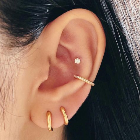 Piercing inspiration of the day! ✨ Tap for jewelry details. SHOP: www.jcojewellery.com . . . #jcolook #jcojewelry #jcojewellery #jewelry #jewellery #earrings #earring #earringsoftheday #earringstagram #earpiercing #earpiercings #piercing #piercings #lookoftheday #cartilage #earcuff #girlwithpiercings #everydayearrings #wholesalejewelry #wholesale #boholook #bohojewelry #hoop #hoops #hoopearrings #earcuff #silver #gold Piercing Face, Minimal Hoop Earrings, Pave Ear Cuff, Ear Peircings, Cool Ear Piercings, Pretty Ear Piercings, Multiple Ear Piercings, Cute Ear Piercings, Cute Piercings