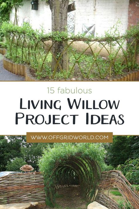 Willow Fencing Ideas, Willow Garden Sculpture, Willow Tree Structures, Willow Screening Ideas, Willow Garden Edging, Branch Garden Ideas, Braided Willow Tree, Willow Weaving Garden, Willow Garden Ideas