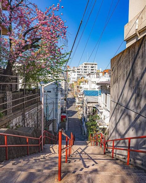 The slope that appears in the final scene of Makoto Shinkai's hit film "Your Name." 🌱💕 cre: hay4te.s7 Film Your Name, Makoto Shinkai, Japanese Culture, Your Name, Desk, Japan, In This Moment, Film, Building