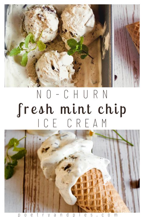 Fresh Mint Ice Cream Recipe, No Churn Mint Chocolate Chip Ice Cream, Fresh Mint Desserts, Homemade Mint Ice Cream, Mint Chip Ice Cream Recipe, Fresh Mint Ice Cream, Using Fresh Mint, Raw Dairy, Mint Gelato