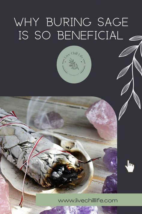 What exactly can you expect when burning sage? How can it benefit your life? Let's talk about how this humble yet powerful plant can change everything when used correctly. Benefits Of Burning Sage, Clear Bad Energy, Burn Sage, Sage Benefits, Chill Life, New Age Music, Metaphysical Store, Burning Sage, Bad Energy