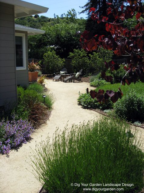 Southwest Landscaping, Drought Resistant Landscaping, Mailbox Landscaping, Low Water Plants, Decomposed Granite, Drought Tolerant Landscape, Hillside Landscaping, Mediterranean Landscaping, Landscape Edging