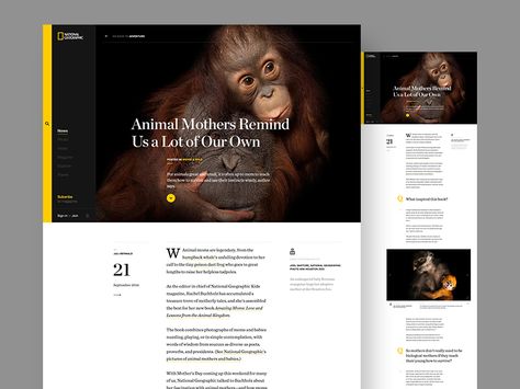 Another one from the dusty Nat Geo folder. A long form article interview with a small gallery. Hope you like it. Online Magazine Website, Articles Design, Blog Post Layout, Blog Post Design, Blog Layout Design, Web Design Ux Ui, Blog Website Design, News Web Design, Blog Layout