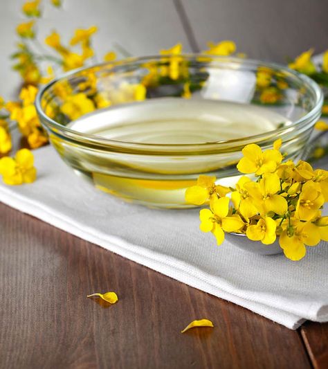 10 Amazing Health Benefits Of Canola Oil Cooking Homemade Pasta, Healthy Cooking Oils, Best Cooking Oil, Cooking Oils, Nutrition And Dietetics, Healthy Oils, Canola Oil, Vegan Foods, Nutrition Recipes