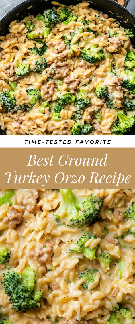 Image for Best Ground Turkey Orzo Recipe Ground Turkey Thigh Recipes, The Best Ground Turkey Recipes, Ground Turkey Food Prep, Healthy Dinner Recipes For Family Ground Turkey, Dinner Turkey Ground, Turkey Meat Recipes Healthy Clean Eating, Ideas With Ground Turkey, Ground Turkey Mexican Recipes Healthy, Ground Turkey Dishes For Dinner