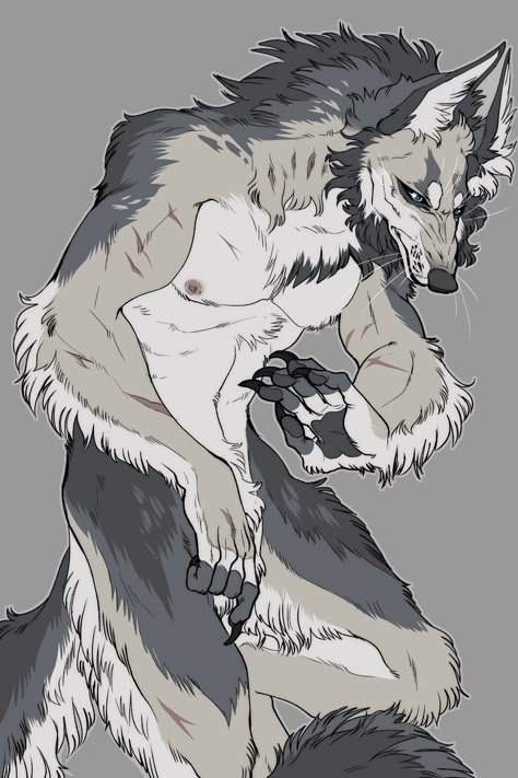 Werewolf Drawing, Werewolf Aesthetic, Werewolf Art, Canine Art, Anime Wolf, Mythical Creatures Art, Creature Concept Art, Wolf Art, Human Art