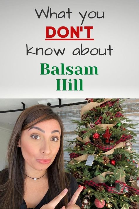 Balsam Hill Trees, Artifical Christmas Tree, Balsam Tree, Balsam Hill Christmas Tree, Balsam Hill, Diy Videos Tutorials, Best Investment, Tree Christmas, Best Investments