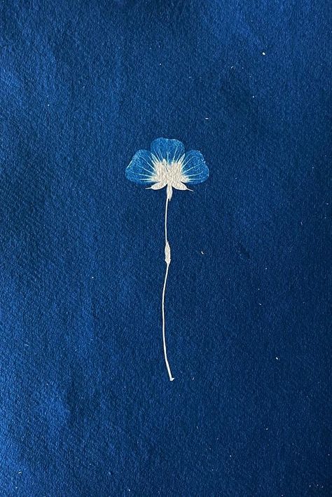 Single love on Artfully Walls Cyanotype Print, Eclectic Contemporary, Artfully Walls, Indigo Prints, Artist Wall, Rainbow Shop, Abstract Drawings, Single Flower, Love Rose