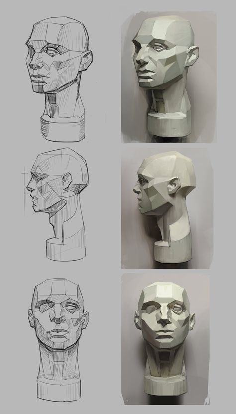 Head Head Proportions, Planes Of The Face, Head Anatomy, Face Anatomy, Figurative Kunst, Anatomy Sculpture, 얼굴 드로잉, Human Anatomy Drawing, 얼굴 그리기