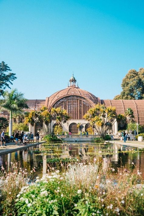 19+ Insanely Cool Things To Do In San Diego + Weekend Getaway Itinerary San Diego Itinerary, Chicano Park, San Diego Travel Guide, La Jolla Shores, I Love Swimming, Old Town San Diego, La Jolla Cove, Cool Things To Do, Hotel Del Coronado