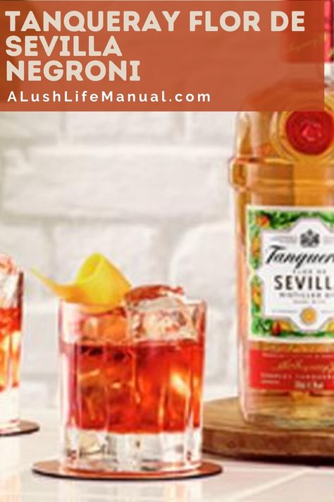 Make a special Negroni with Tanqueray Flor de Sevilla Gin and the usual Campari and sweet vermouth. It adds a little Spanish flavor! #Cocktail #Recipe #Gin Sloe Gin Cocktails, Pink Gin Cocktails, Easy Gin Cocktails, Best Gin Cocktails, Tanqueray Gin, Sweet Vermouth, Gin Cocktail Recipes, Classic Cocktail Recipes, Easy Cocktail