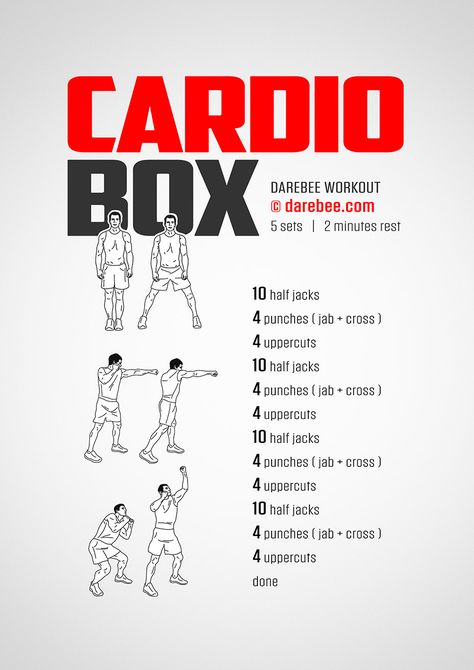 Cardio Box Workout https://darebee.com/workouts/cardio-box-workout.html Boxing Workout At Home, Box Workout, Cardio Boxing Workout, Boxer Workout, Boxing Workouts, Home Boxing Workout, Fighter Workout, Boxing Training Workout, Mma Workout