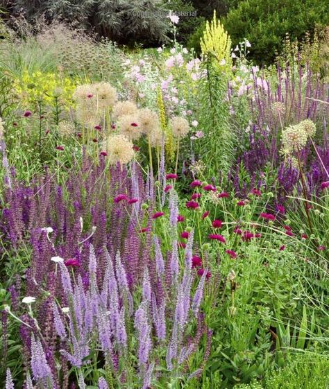 by Piet Oudolf Prairie Planting, Dutch Gardens, Piet Oudolf, Prairie Garden, Meadow Garden, Have Inspiration, Wildflower Garden, Garden Borders, Natural Garden