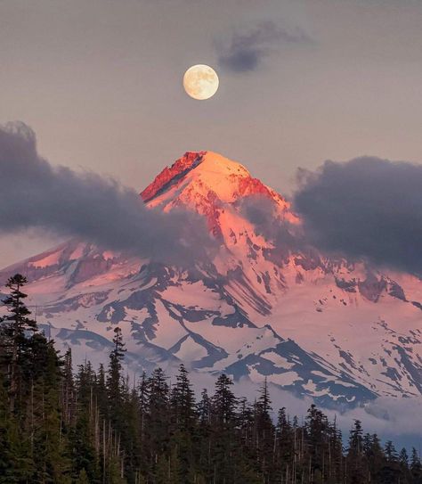 #moonlit #MountHood Oregon Photography, Mount Hood, Photography Day, Mt Hood, Pretty Landscapes, World Photography, Beautiful Evening, Nature Aesthetic, Pretty Places