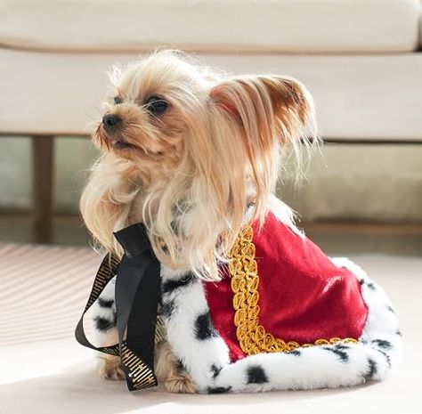 Lovelyshop pet Serial Lux Fur Red Cat Dog Cloak for Halloween Costumes, King Queen Prince and Princess Cosplay-XS Queen Cape, Best Small Dogs, Oz Movie, Puppy Costume, Princess Halloween Costume, Small Dog Sweaters, Princess Cosplay, Red Cat, Dog Sweaters