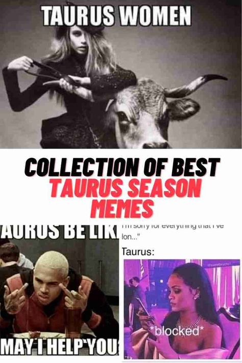 Taurus Memes #Taurus #TaurusSeason #memes #funny #Zodiacmemes Taurus Quotes Funny, Taurus Be Like, Zodiac Funny Taurus, Things About Taurus, Funny Taurus, Taurus Funny, Fact About Taurus, Taurus Season, Funny Zodiac