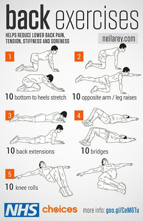 Lower back exercises Back Exercises For Men, Exercises For Men, Lower Stomach, Back Extensions, Insanity Workout, Lower Back Exercises, Bottom Workout, Lower Abs, Back Pain Exercises