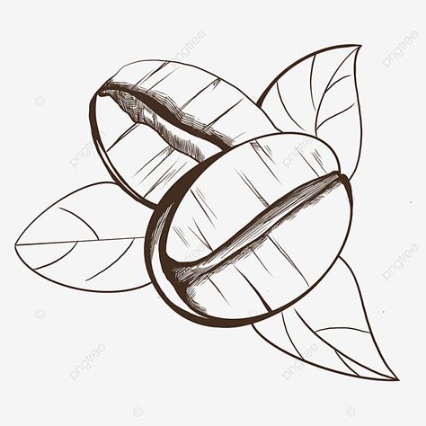 Coffee Bean Svg Free, Coffee Beans Drawing, Coffee Bean Drawing, Beans Drawing, Bean Drawing, Coffee Leaf, Line Clipart, Drawing Coffee, Coffee Bean Bags