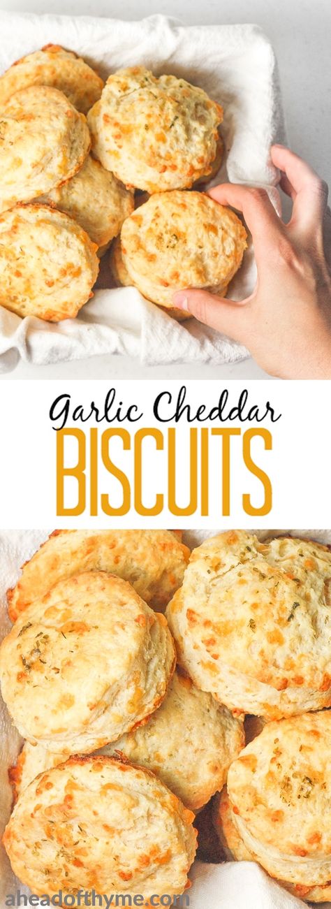 Garlic cheddar biscuits qualify as breakfast or a dinner side dish. These are packed with flavour and can be prepped for the oven in less than 20 minutes! | aheadofthyme.com Garlic Cheddar Biscuits, Garlic Cheddar, Queso Cheddar, Cheddar Biscuits, Breakfast Goodies, Dinner Side Dishes, Homemade Biscuits, Disney Facts, Family Trip