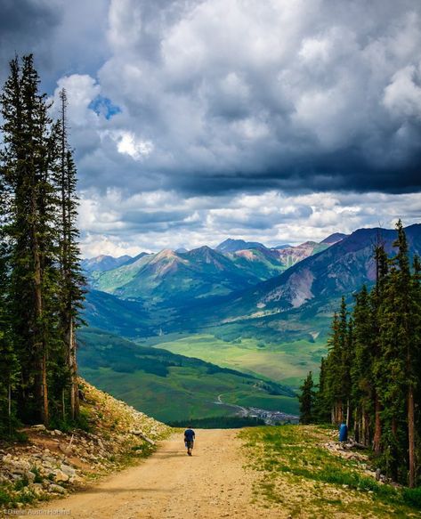 Colorado Vibes, Painterly Photography, Ants Go Marching, Apartment Pictures, Mountains And Waterfalls, Colorado Scenery, Nature Medicine, Cross County, Forest Walks