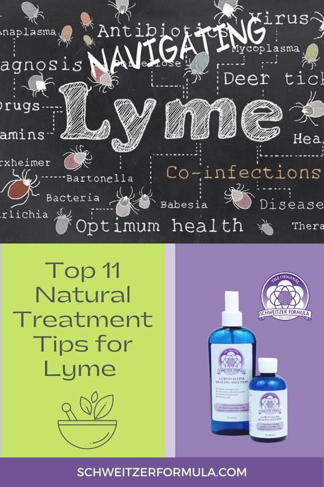 Lyme Detoxing, Lyme Desiese, Lymes Disease, Blog Post Design, Degenerative Disease, Natural Insect Repellant, Keto Lifestyle, Bacterial Infection, Hormone Imbalance