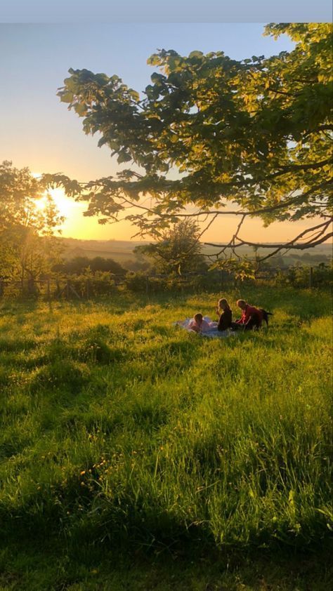 Spring Aesthetic, Summer Feeling, Summer Dream, Nature Aesthetic, The Grass, Pretty Places, Country Life, Farm Life, Summer Aesthetic