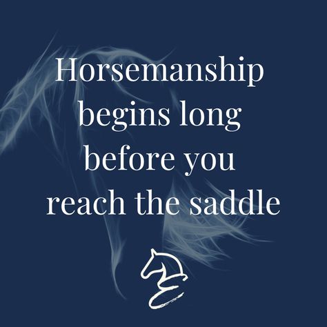 #horsemanship #horsequotes #horse #equestrian #horsememe #horses #equine Horsemanship Quotes, Equine Quotes, Horse Meme, Horse Riding Quotes, Equestrian Quotes, Riding Quotes, Horse Quotes, Horse Equestrian, Horse Stuff