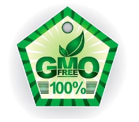 GMO Free Genetically Modified Food, Gmo Foods, Food Info, Organic Gardening Tips, Foods To Avoid, Unhealthy Food, Non Gmo, Organic Recipes, Organic Gardening