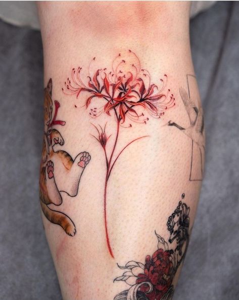 Tattoo Simplistic, Tattoos Lily, Spider Lily Tattoo, Tattoo Spider, 21 Tattoo, Lycoris Radiata, Lillies Tattoo, Lily Tattoo Design, Spider Lily