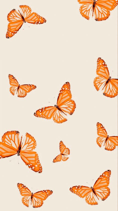 Aesthetic Pastel Orange Wallpaper, Cute Wallpapers Orange, Cute Orange Background Aesthetic, Orangw Wallpaper, Orange Cute Wallpaper, Orange Background Aesthetic, Orange Aesthetic Wallpaper, Wallpaper Iphone Boho, Butterfly Wallpaper Iphone