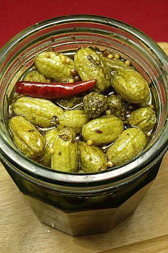 Sweet Baby Pickles Canning Cucamelons, Cucamelons Recipes, Dill Pickled Cucamelons, Cucamelon Pickling, Sweet Baby Gerkin Pickles, Sweet Gherkin Pickle Recipe, Cucamelon Recipes, Creative Canning, Marinated Veggies