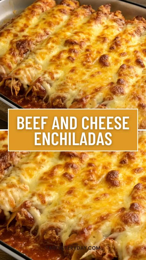 Savory Beef Enchiladas with Melted Cheese | by Tasty Everyday | Medium Beef And Cheese Enchiladas, Beef Enchilada Recipe, Cheesy Enchiladas, Ground Beef Enchiladas, Cheese Enchiladas, Crowd Pleasing Recipes, Beef Enchiladas, Enchilada Recipes, Enchilada Sauce